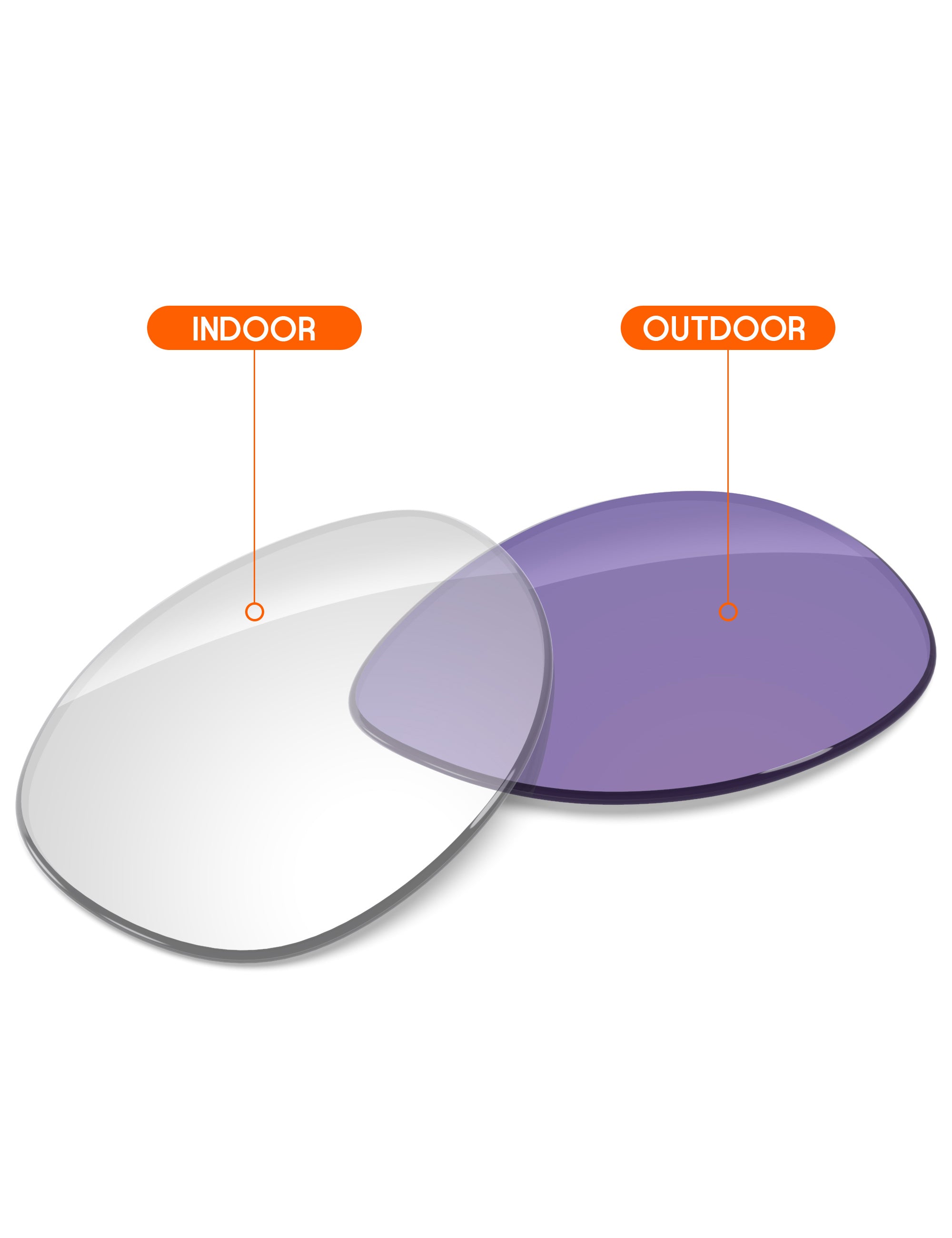 Adapt Purple Photochromic-Non-Polarized