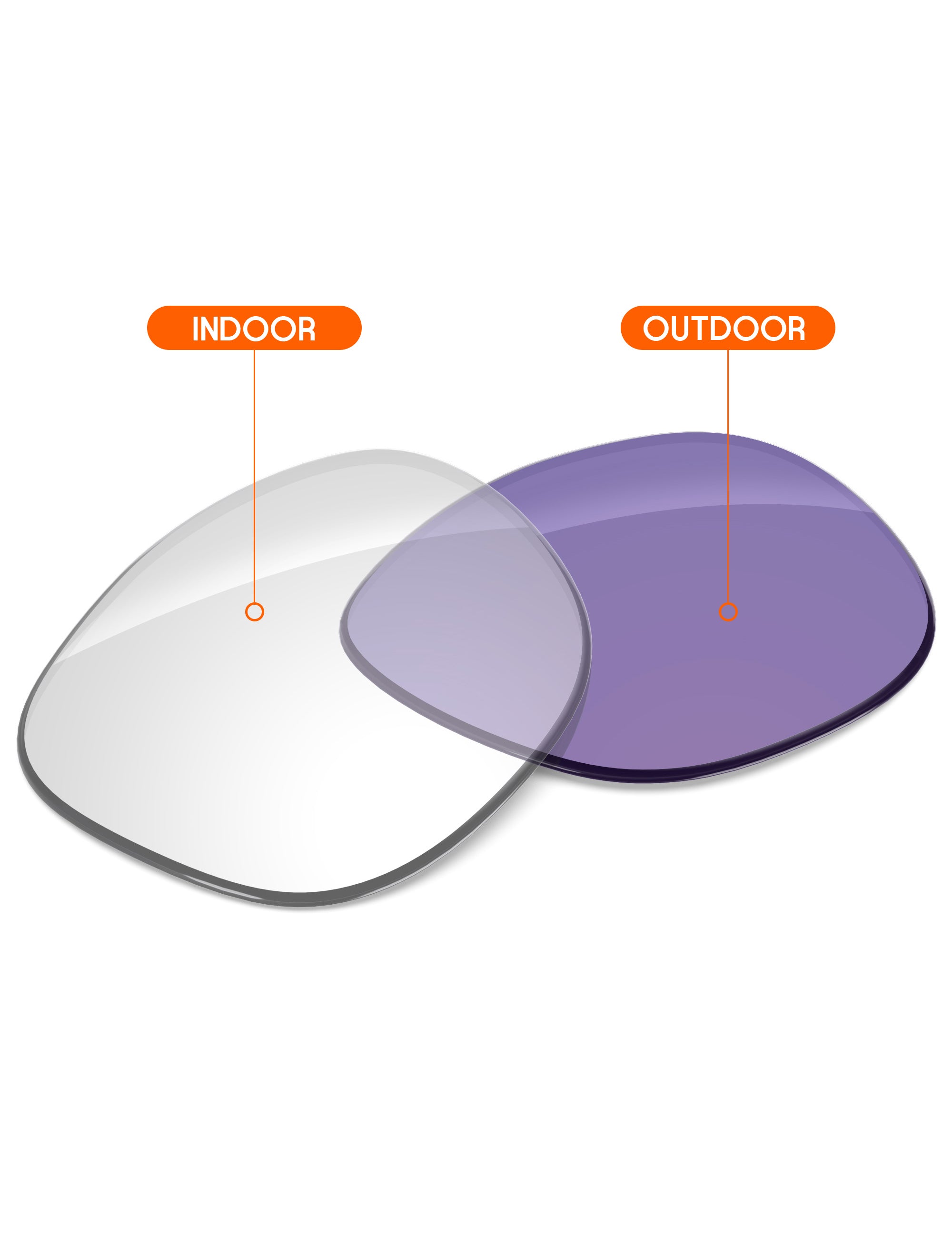 Adapt Purple Photochromic-Non-Polarized