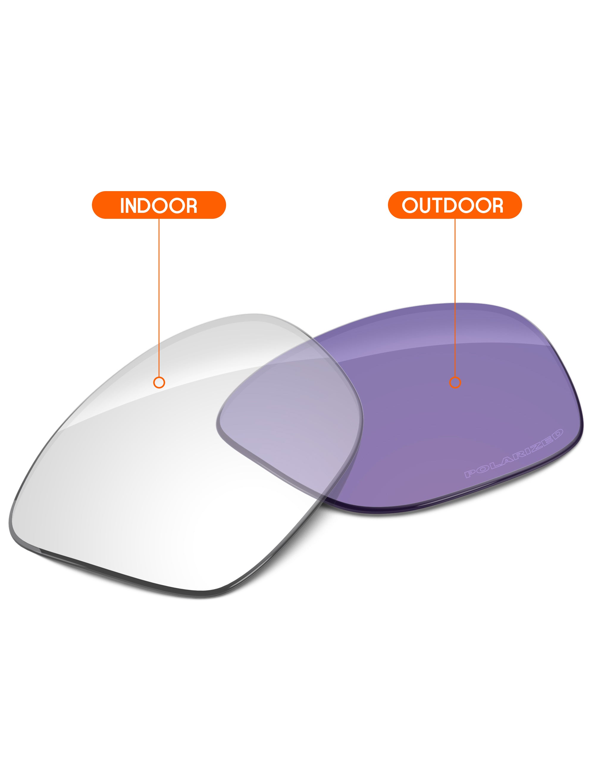 Adapt Purple Photochromic-Non-Polarized