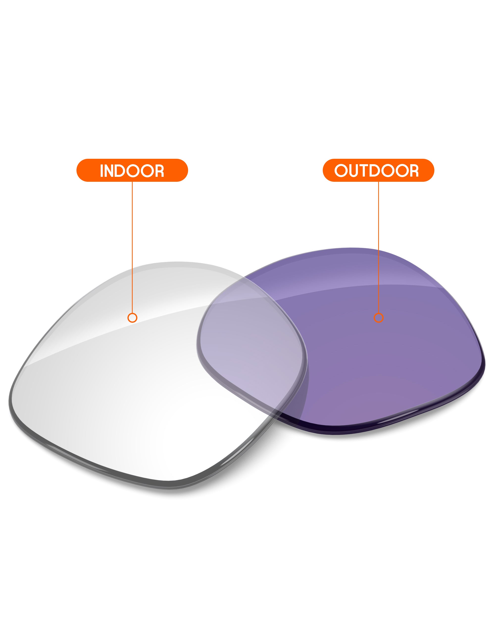 Adapt Purple Photochromic-Non-Polarized