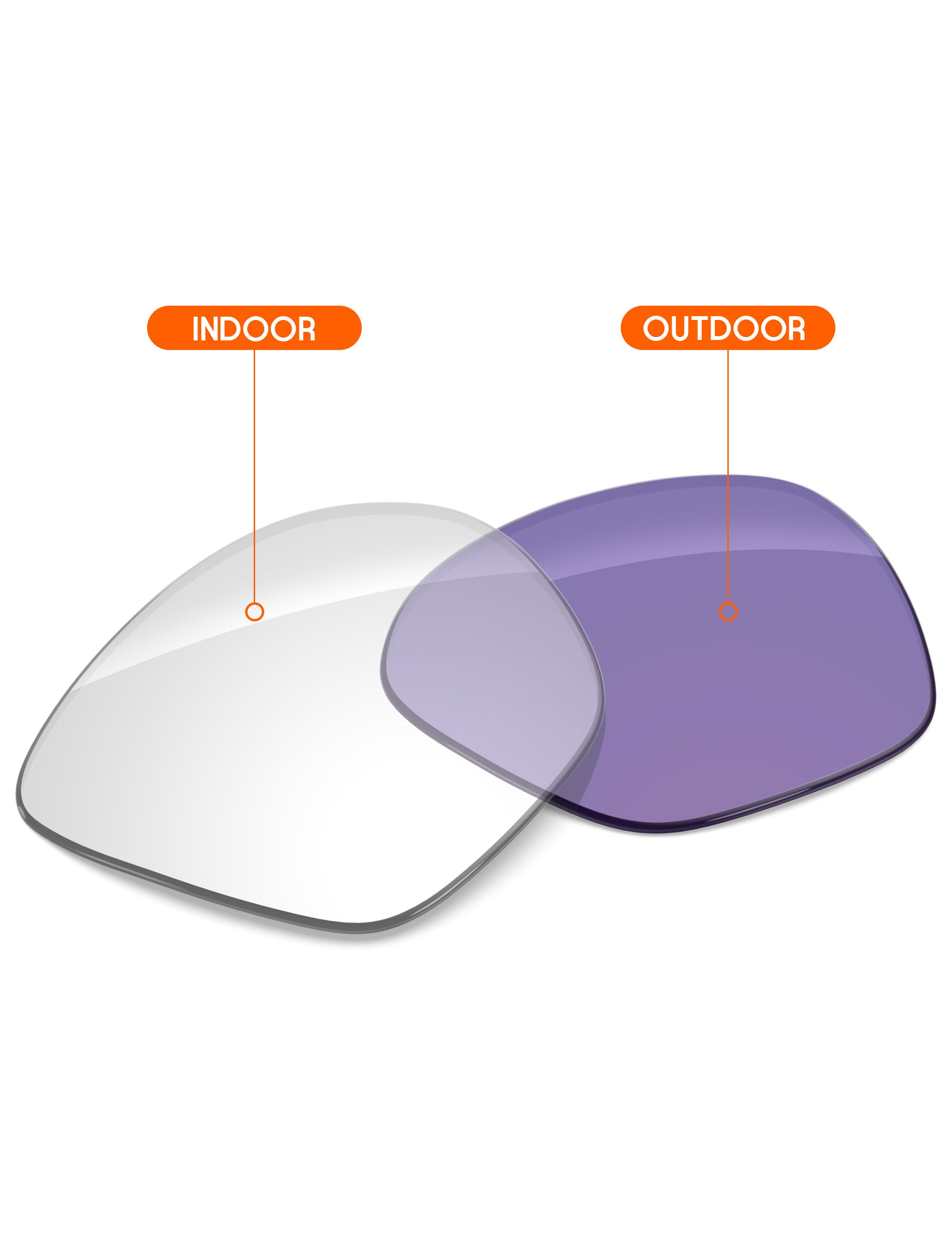Adapt Purple Photochromic-Non-Polarized