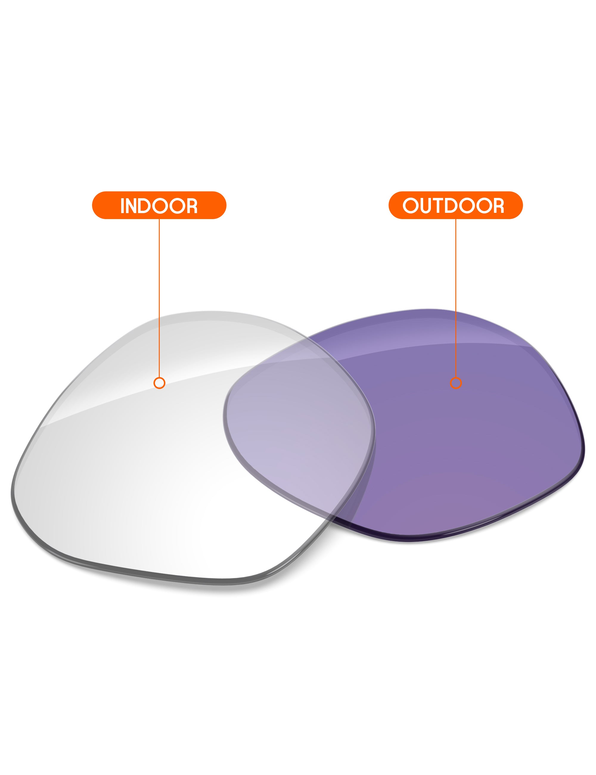 Adapt Purple Photochromic-Non-Polarized