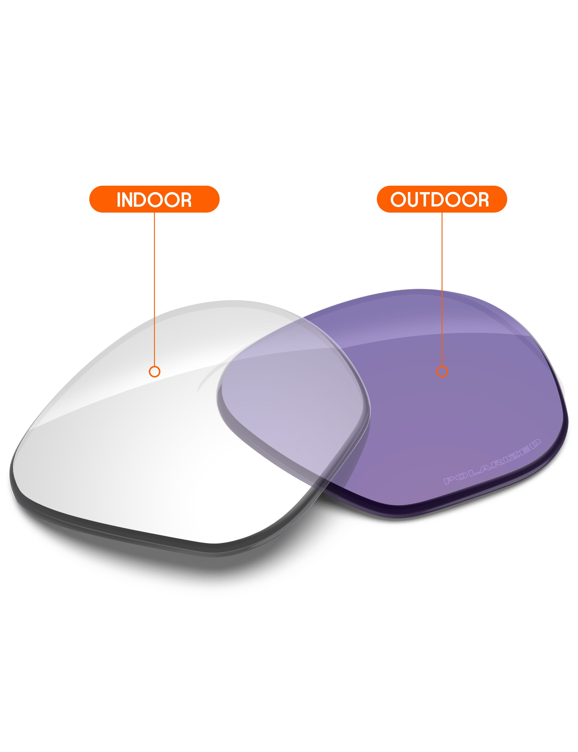 Adapt Purple Photochromic-Non-Polarized