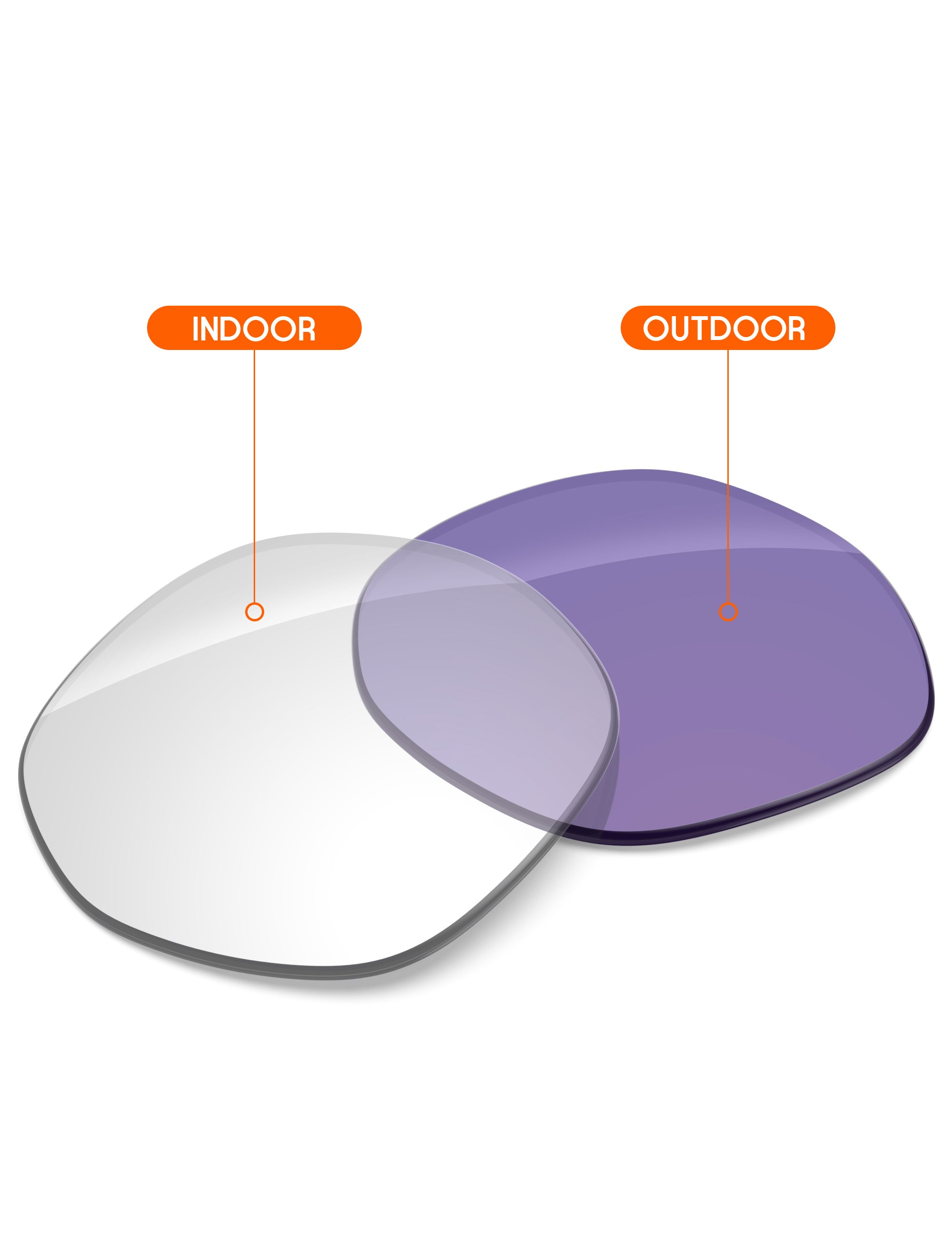 Adapt Purple Photochromic-Non-Polarized