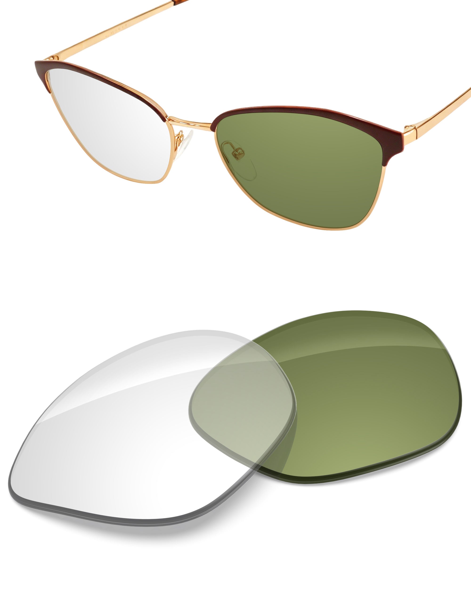 Adapt Green Photochromic-Non-Polarized