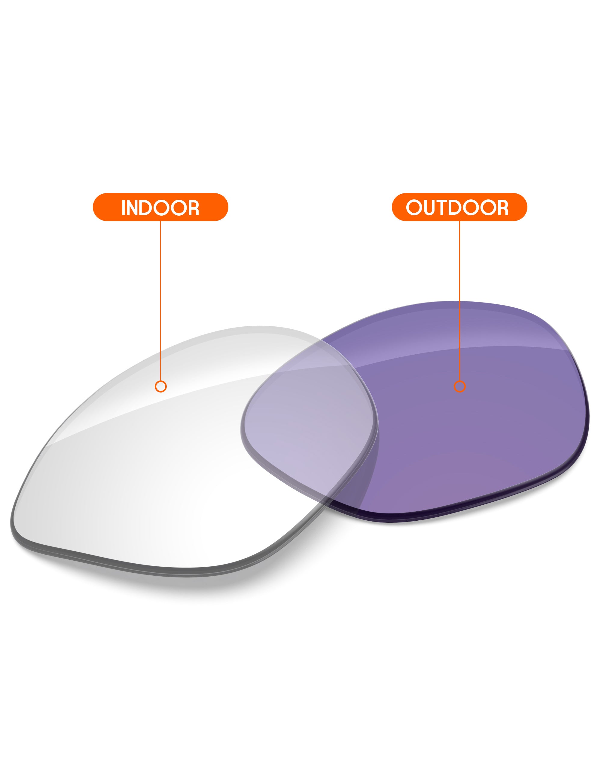 Adapt Purple Photochromic-Non-Polarized