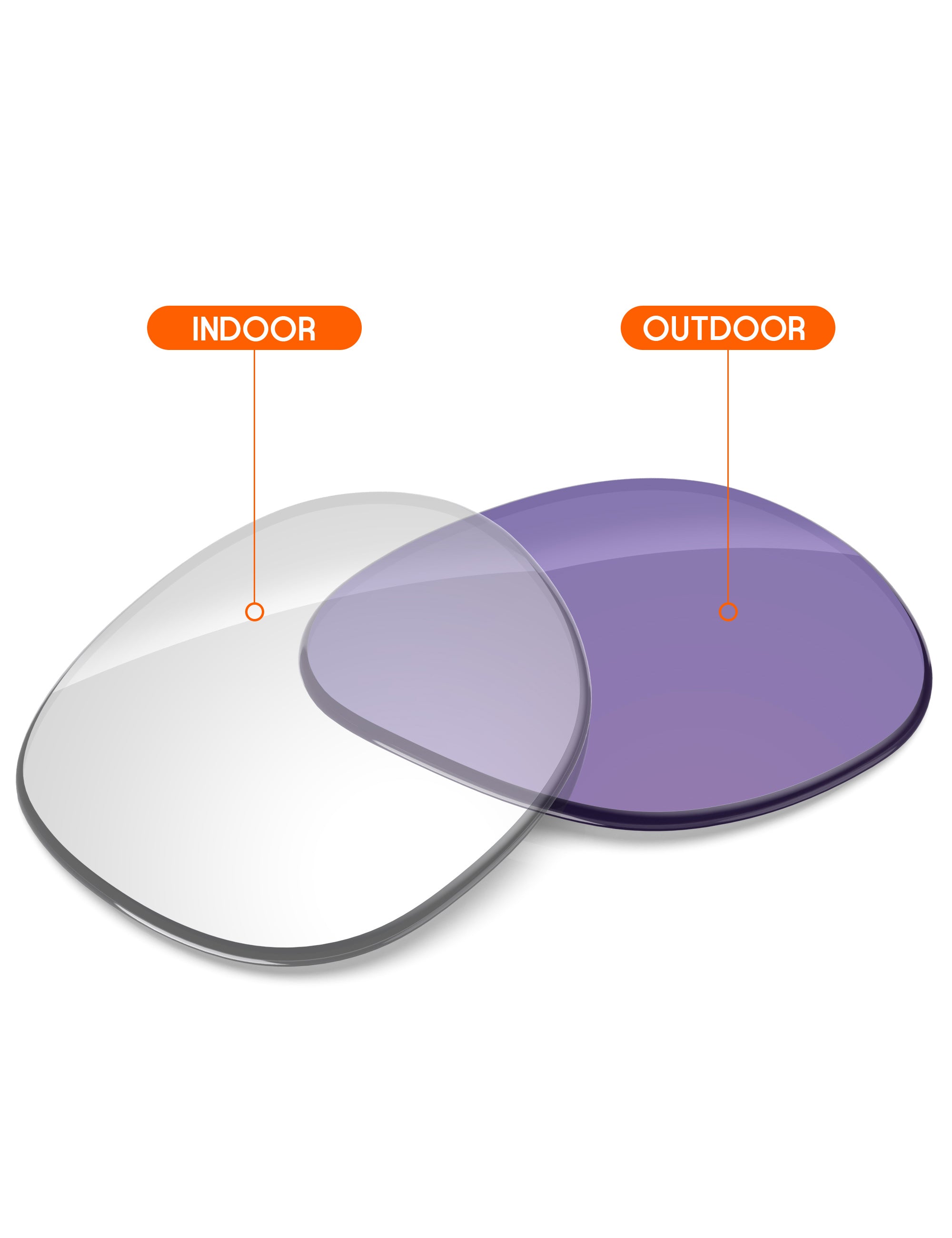 Adapt Purple Photochromic-Non-Polarized