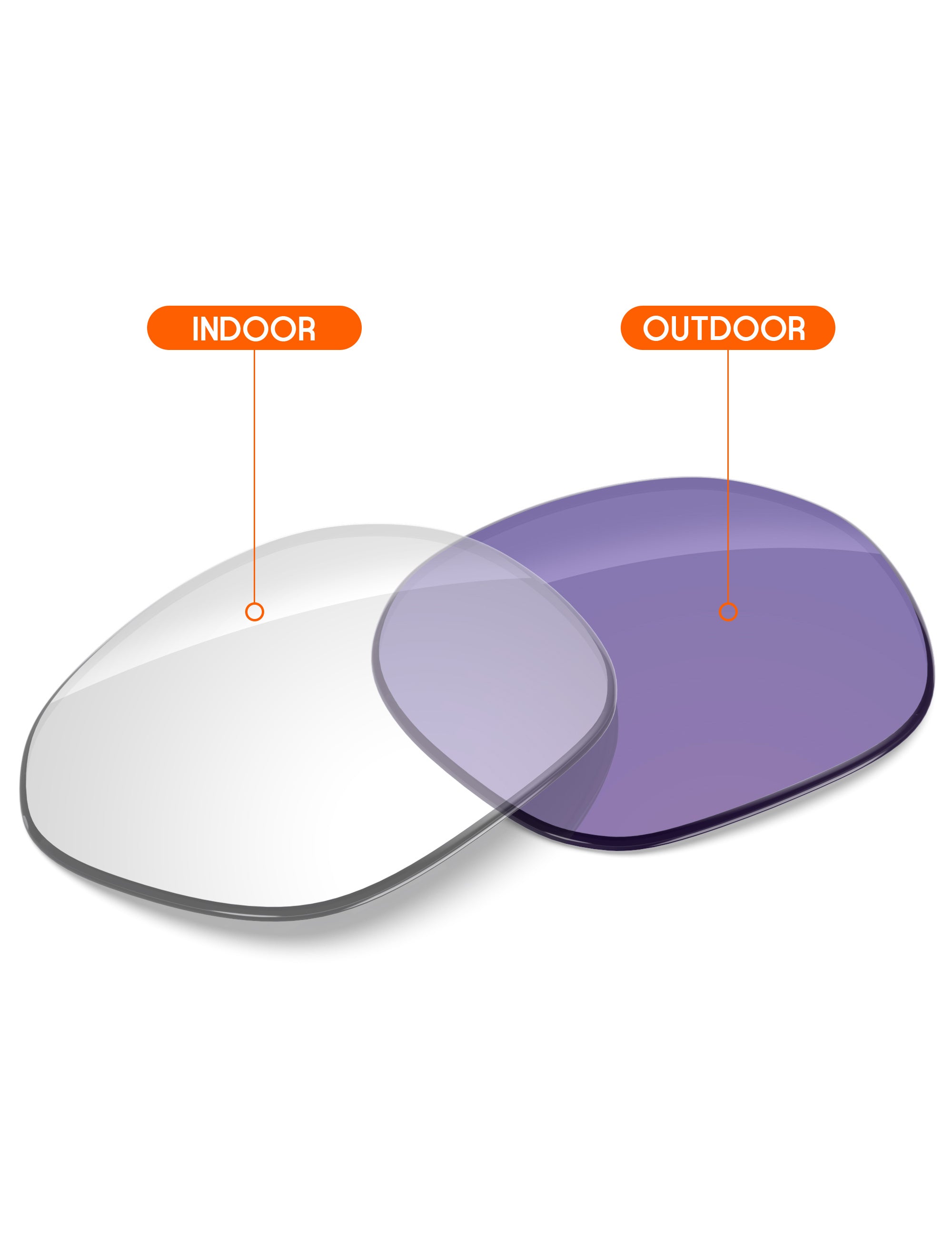 Adapt Purple Photochromic-Non-Polarized
