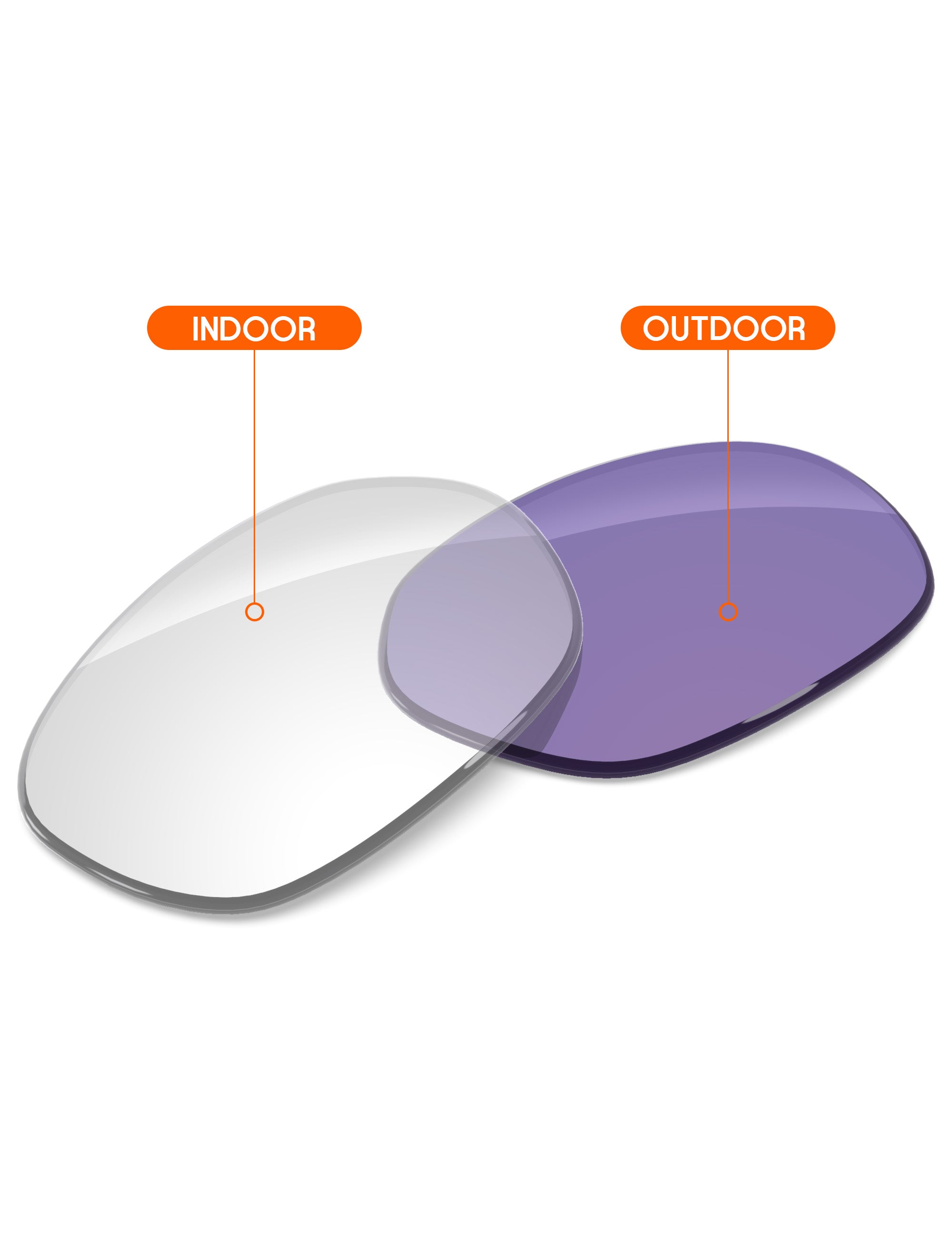 Adapt Purple Photochromic-Non-Polarized