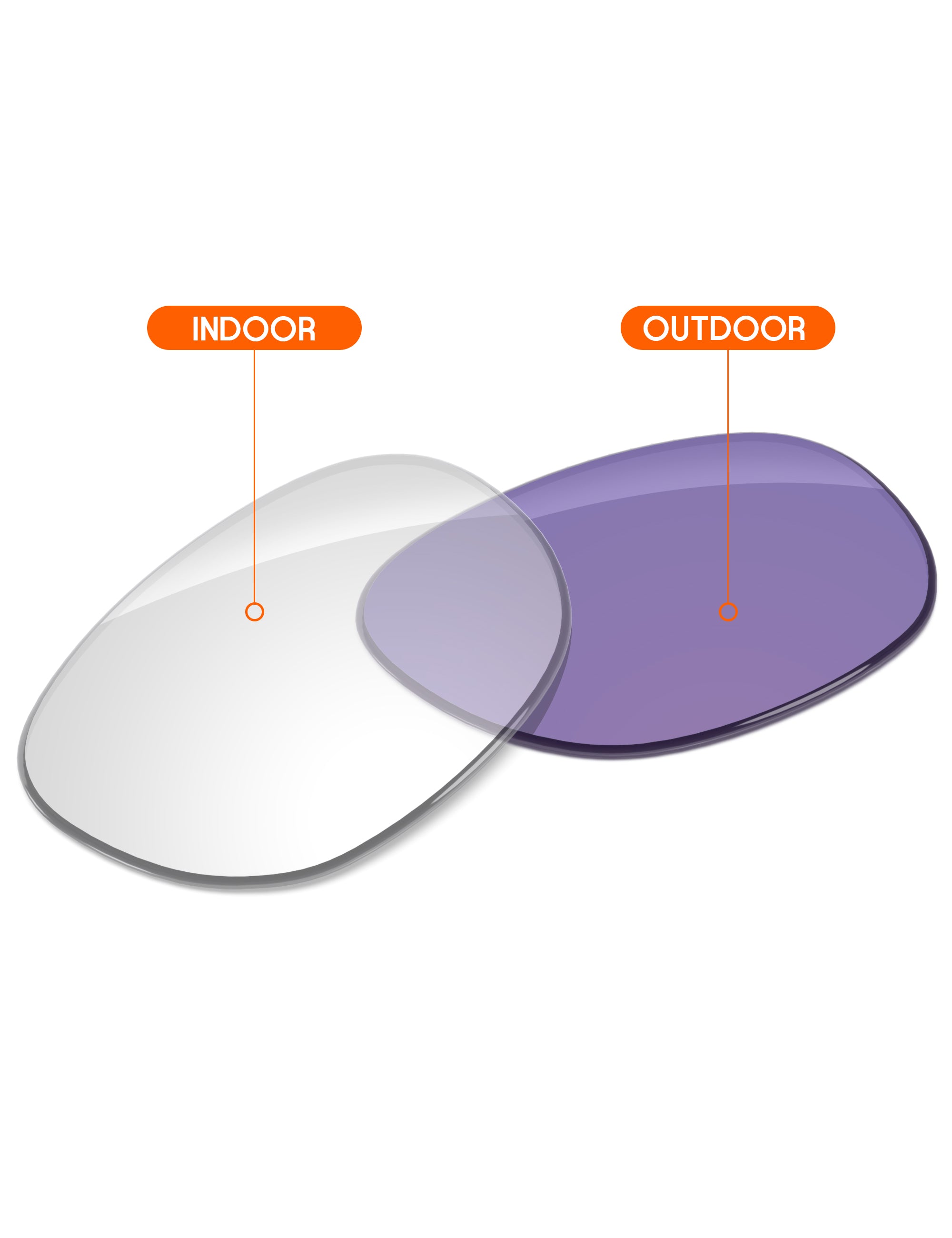 Adapt Purple Photochromic-Non-Polarized