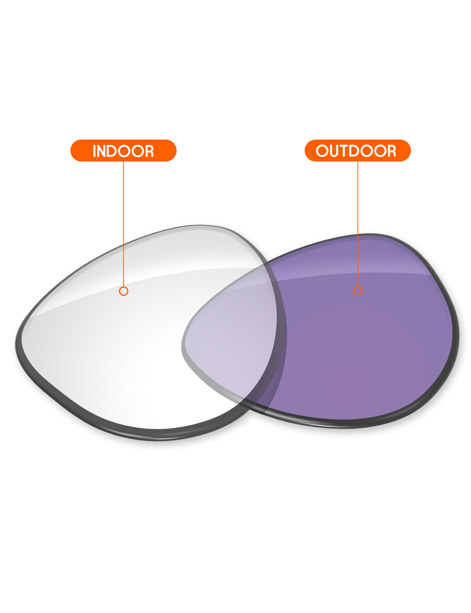 Adapt Purple Photochromic-Non-Polarized