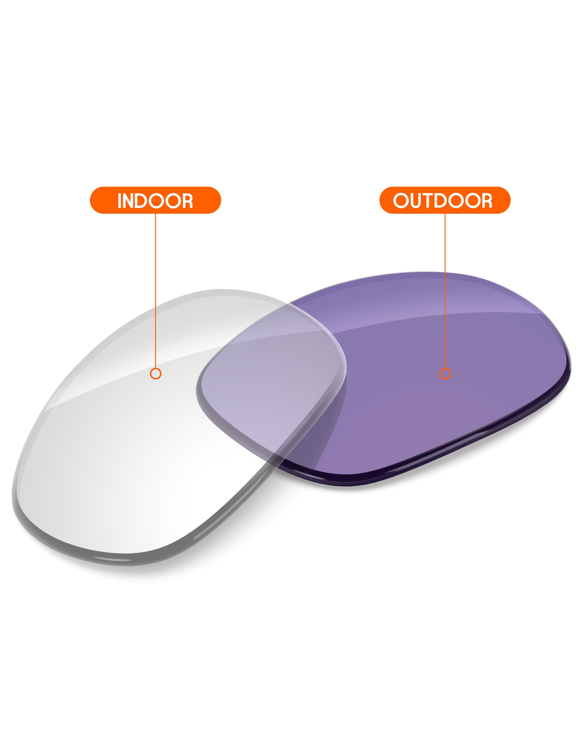 Adapt Purple Photochromic-Non-Polarized