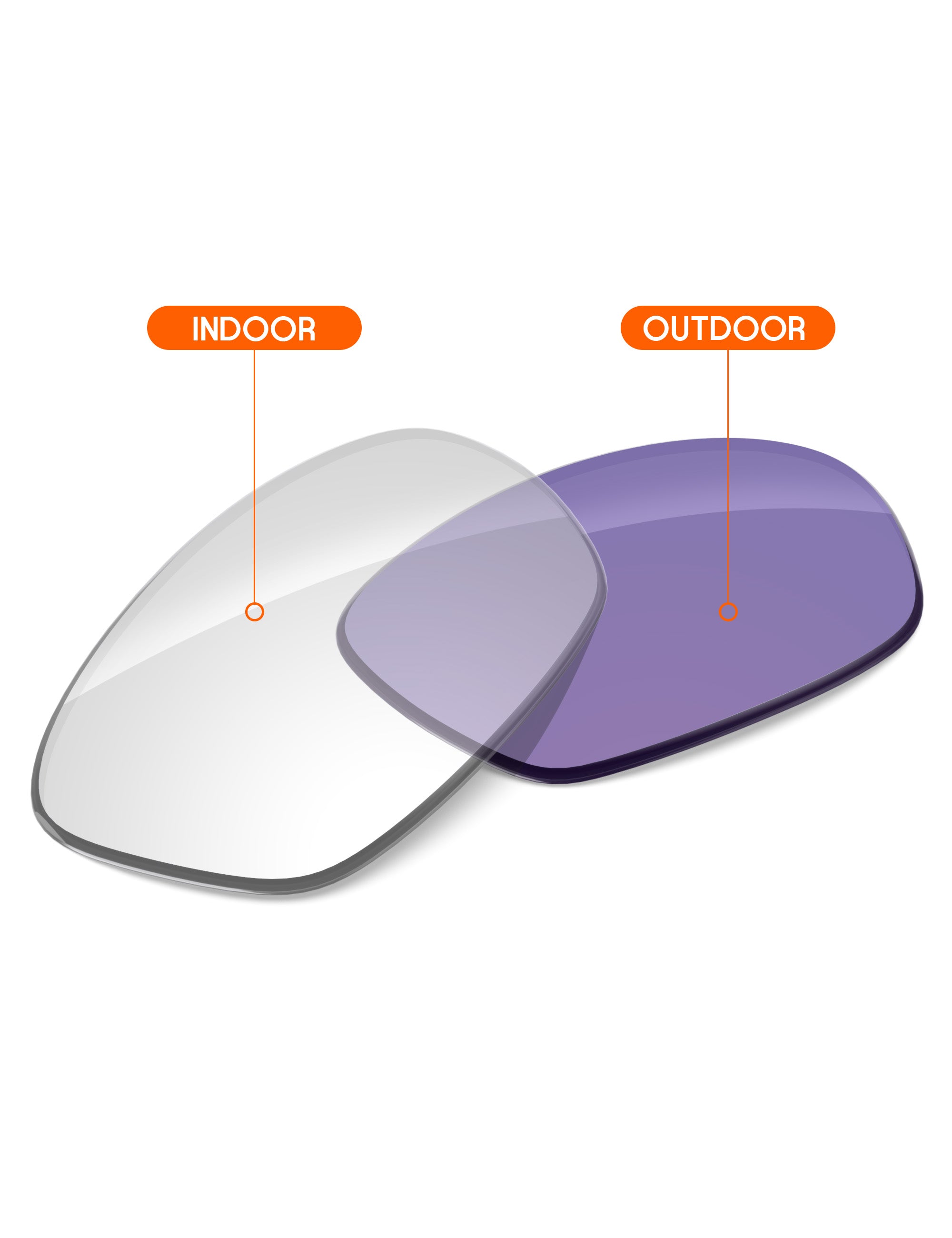 Adapt Purple Photochromic-Non-Polarized