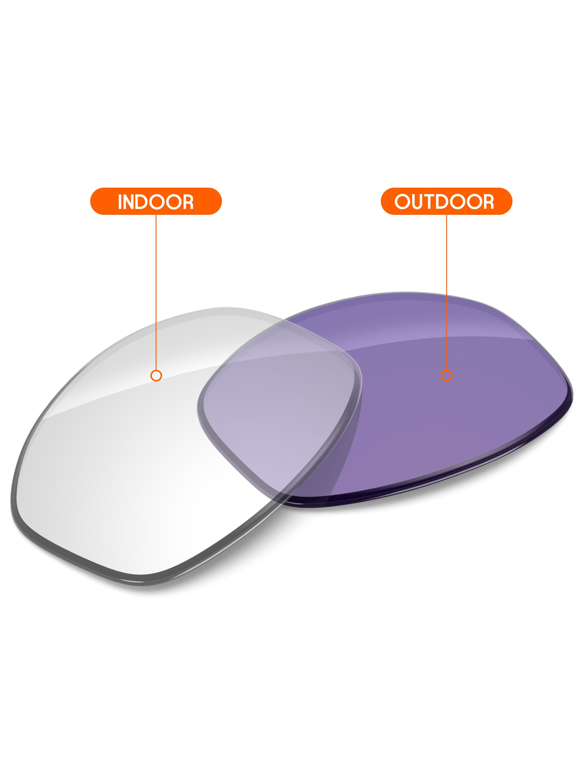 Adapt Purple Photochromic-Non-Polarized