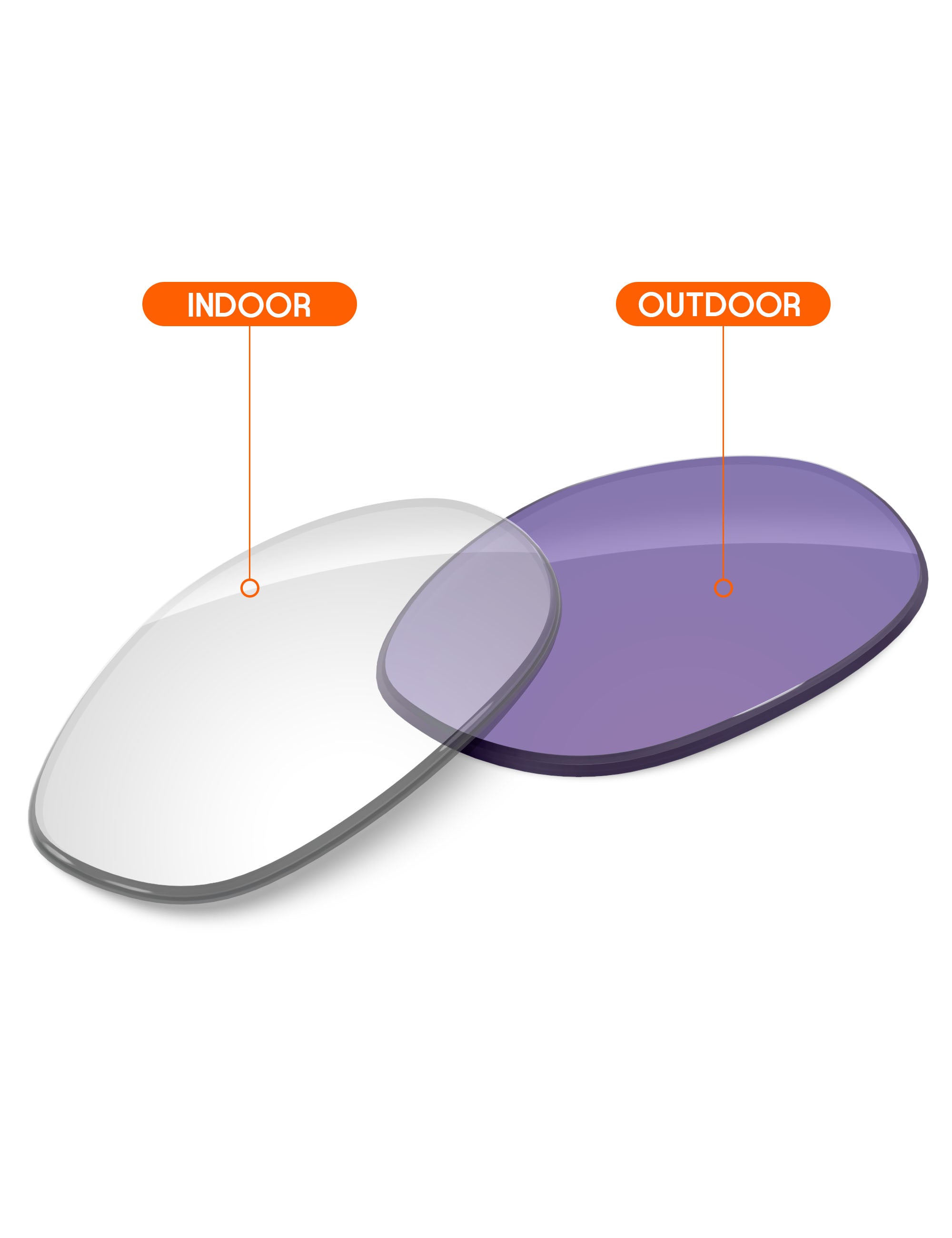 Adapt Purple Photochromic-Non-Polarized