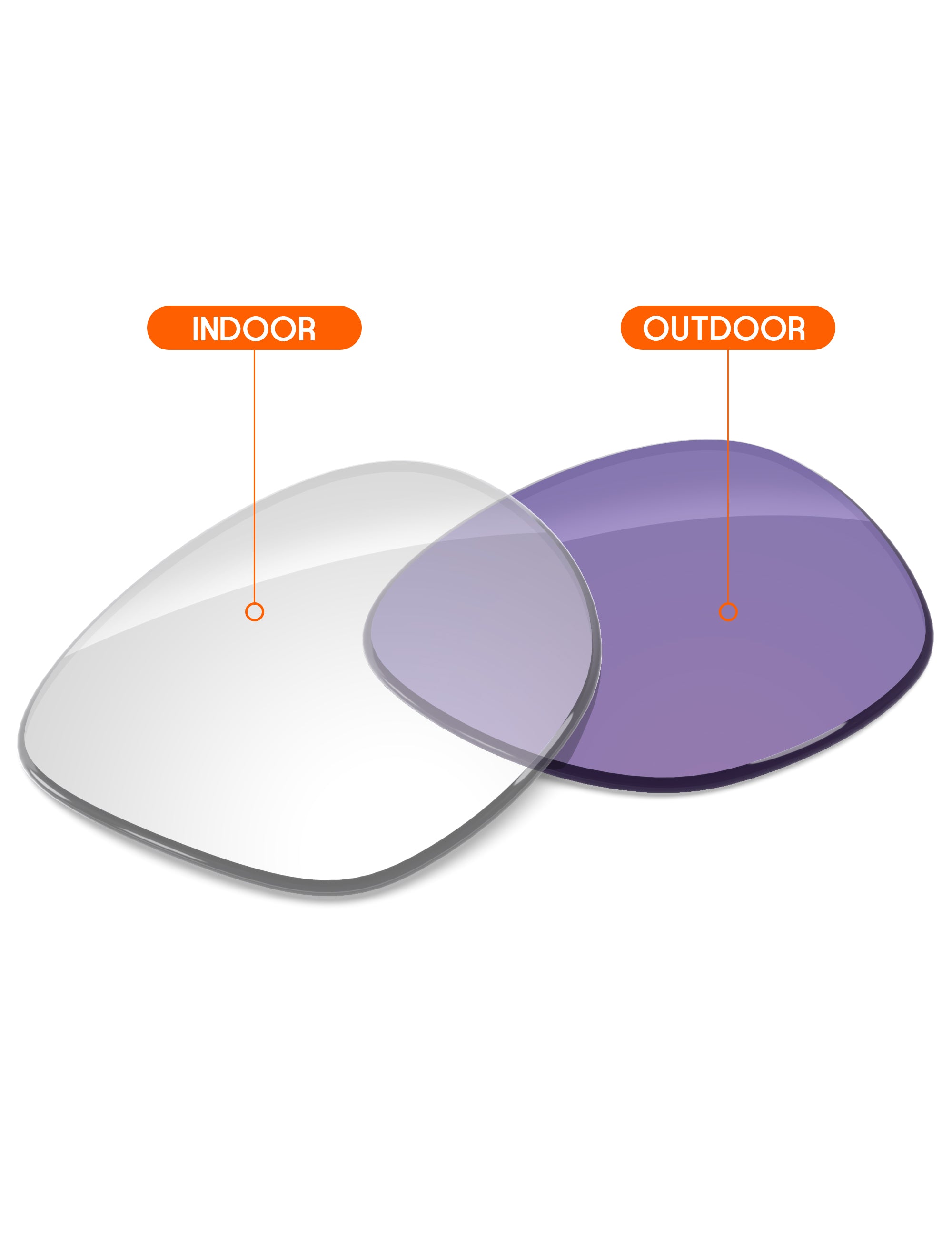 Adapt Purple Photochromic-Non-Polarized