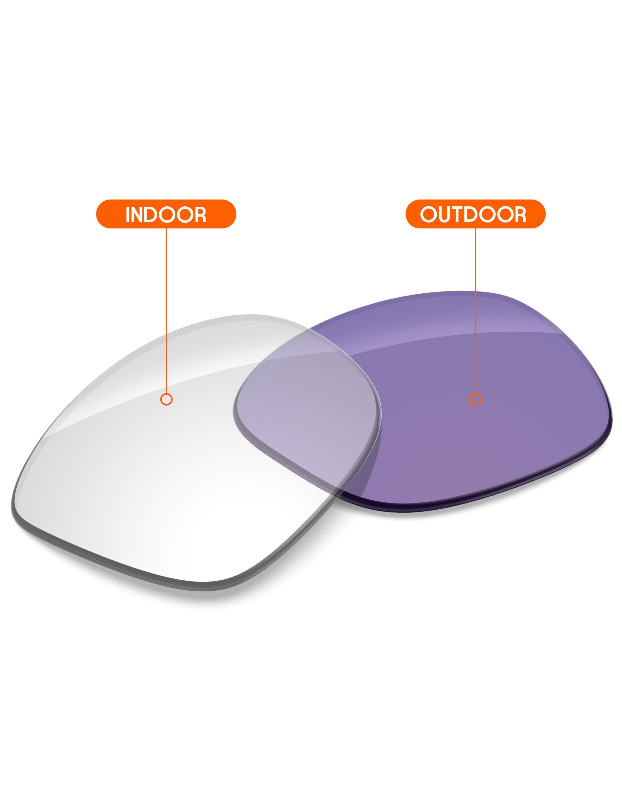 Adapt Purple Photochromic-Non-Polarized