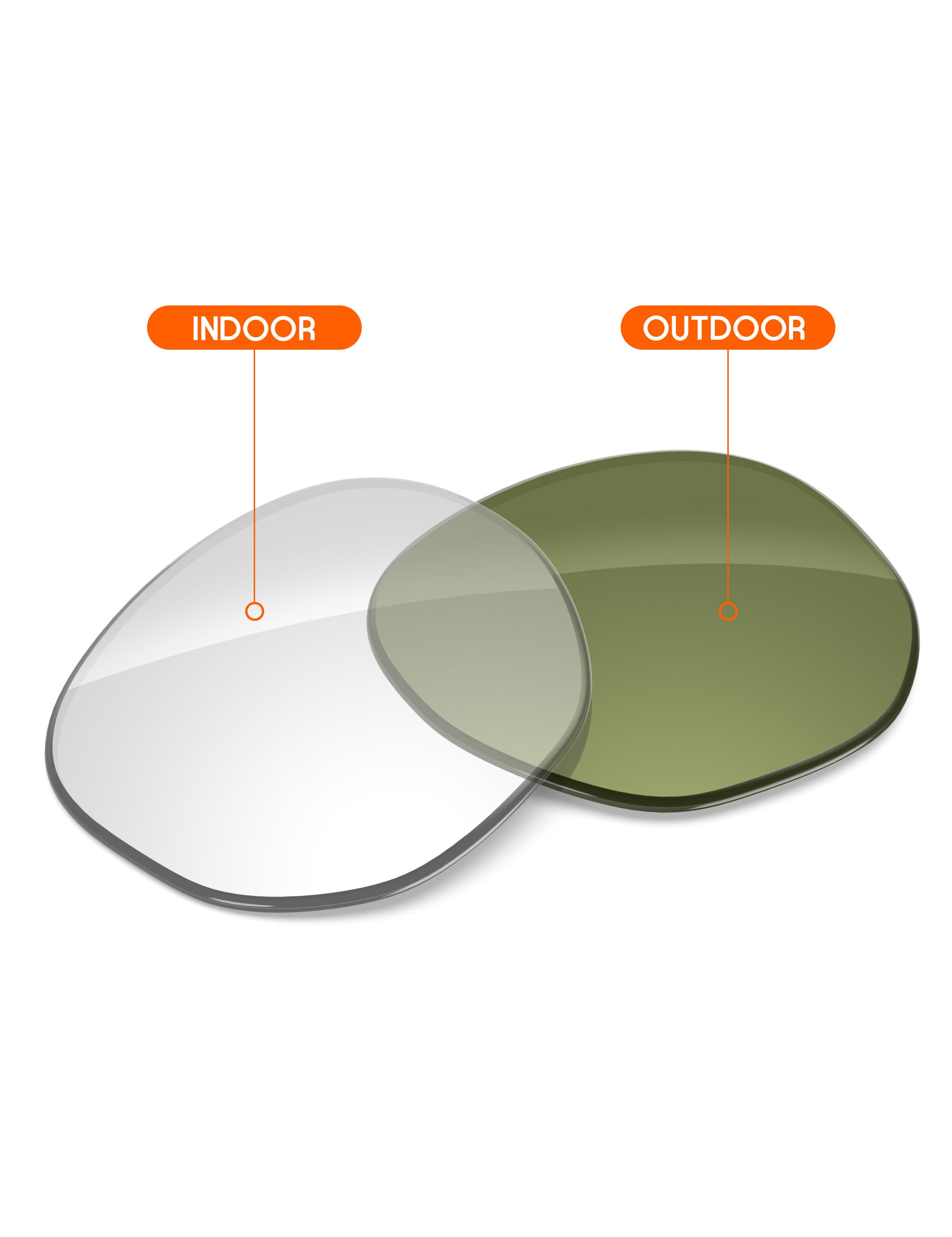 Adapt Green Photochromic-Non-Polarized