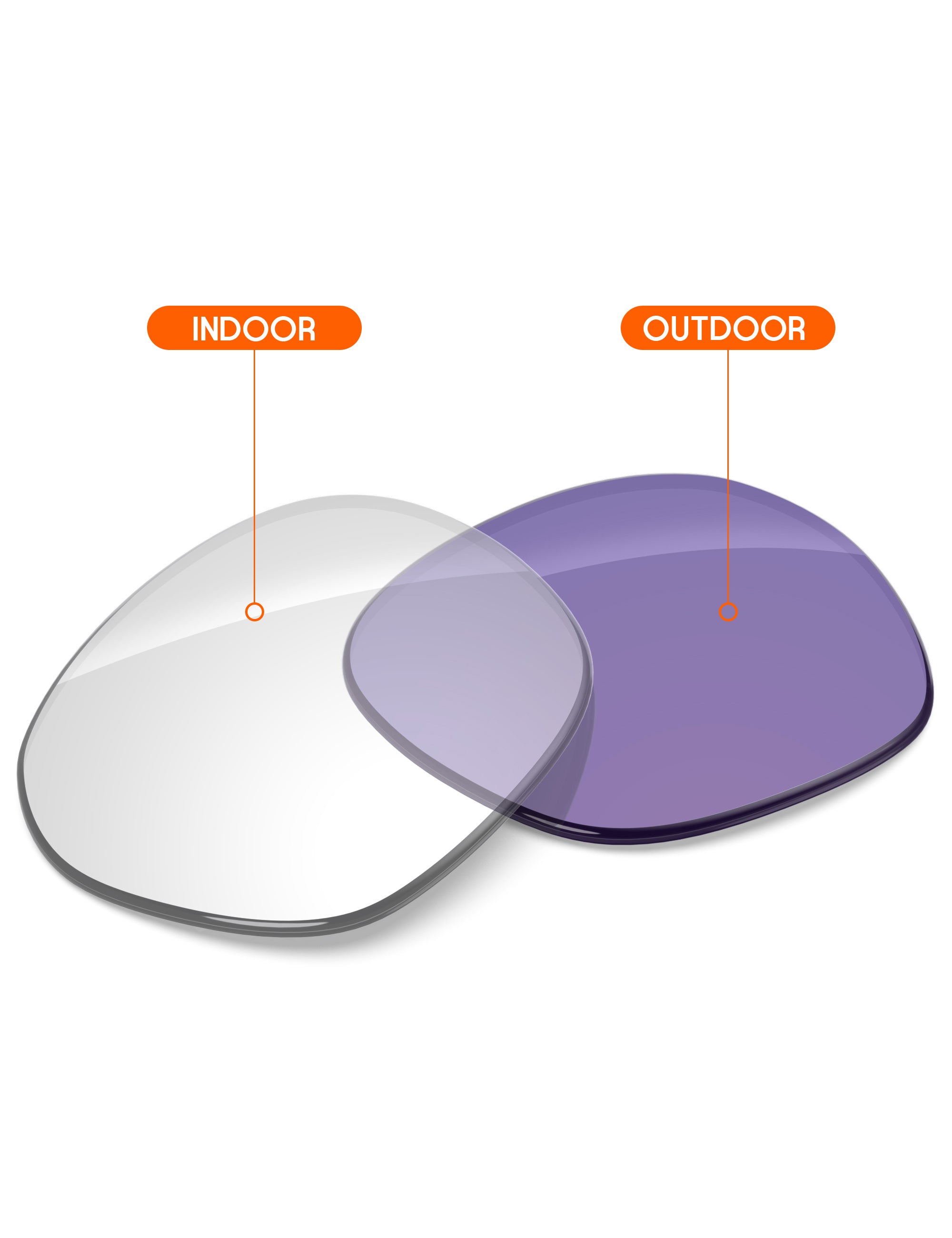 Adapt Purple Photochromic-Non-Polarized