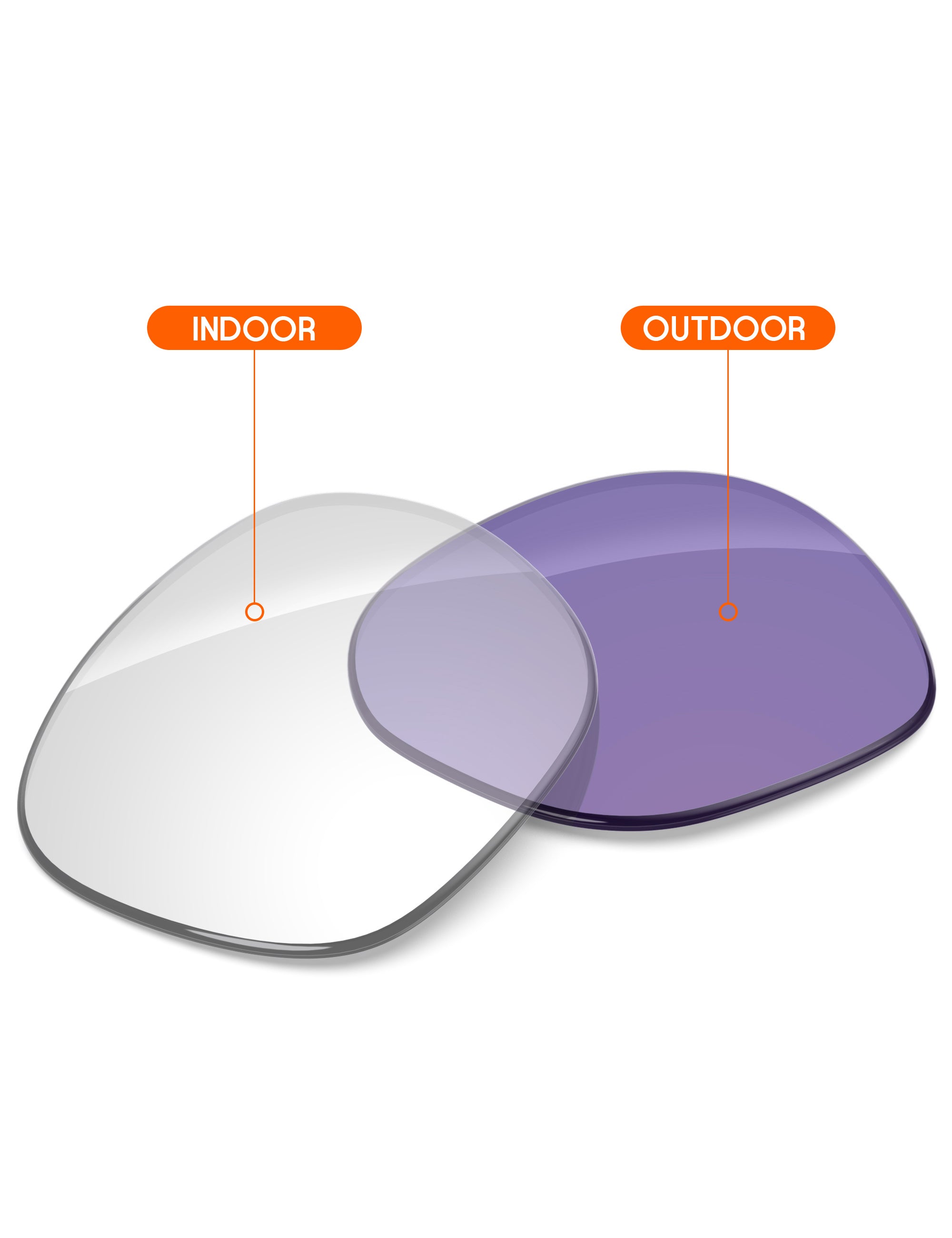 Adapt Purple Photochromic-Non-Polarized