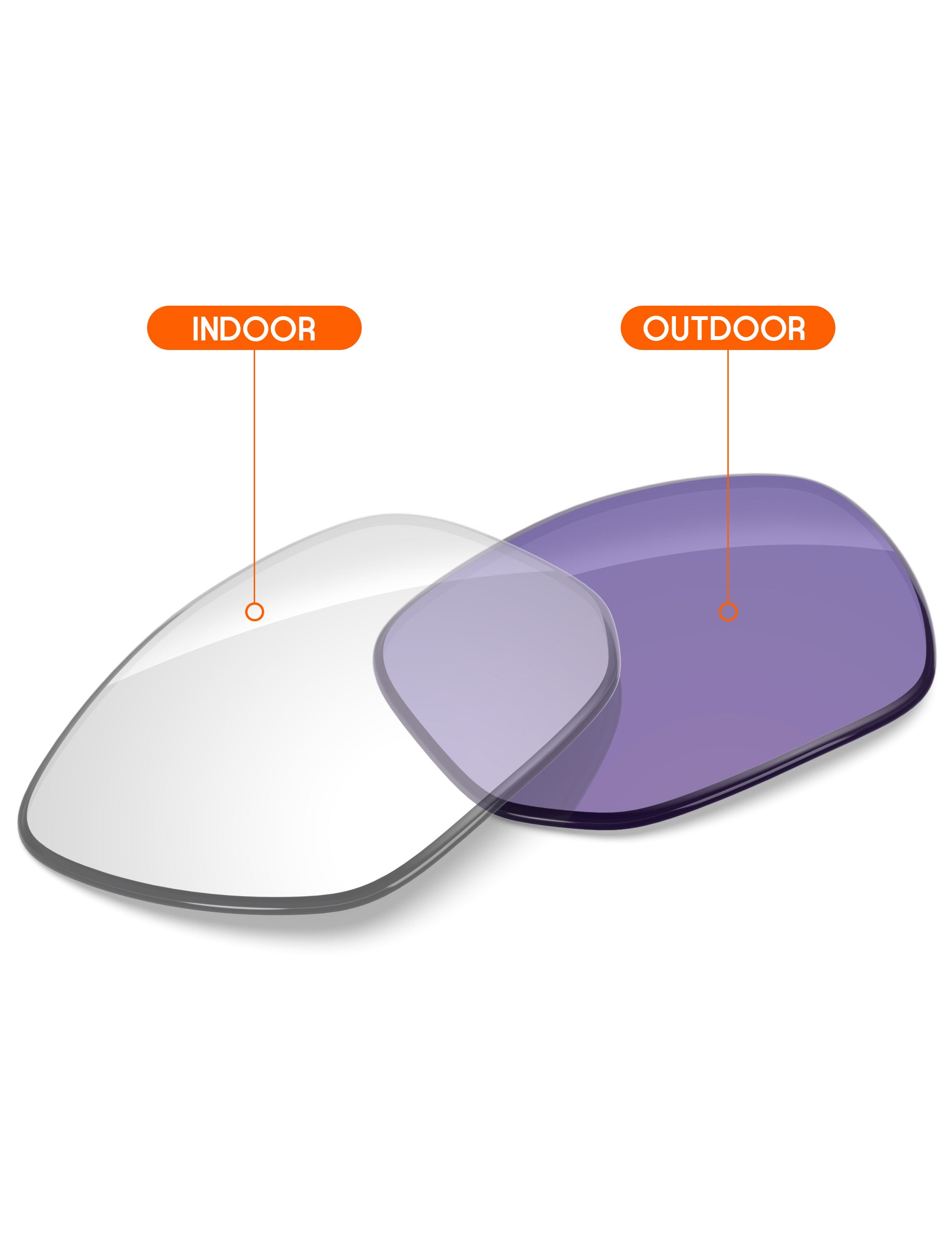 Adapt Purple Photochromic-Non-Polarized
