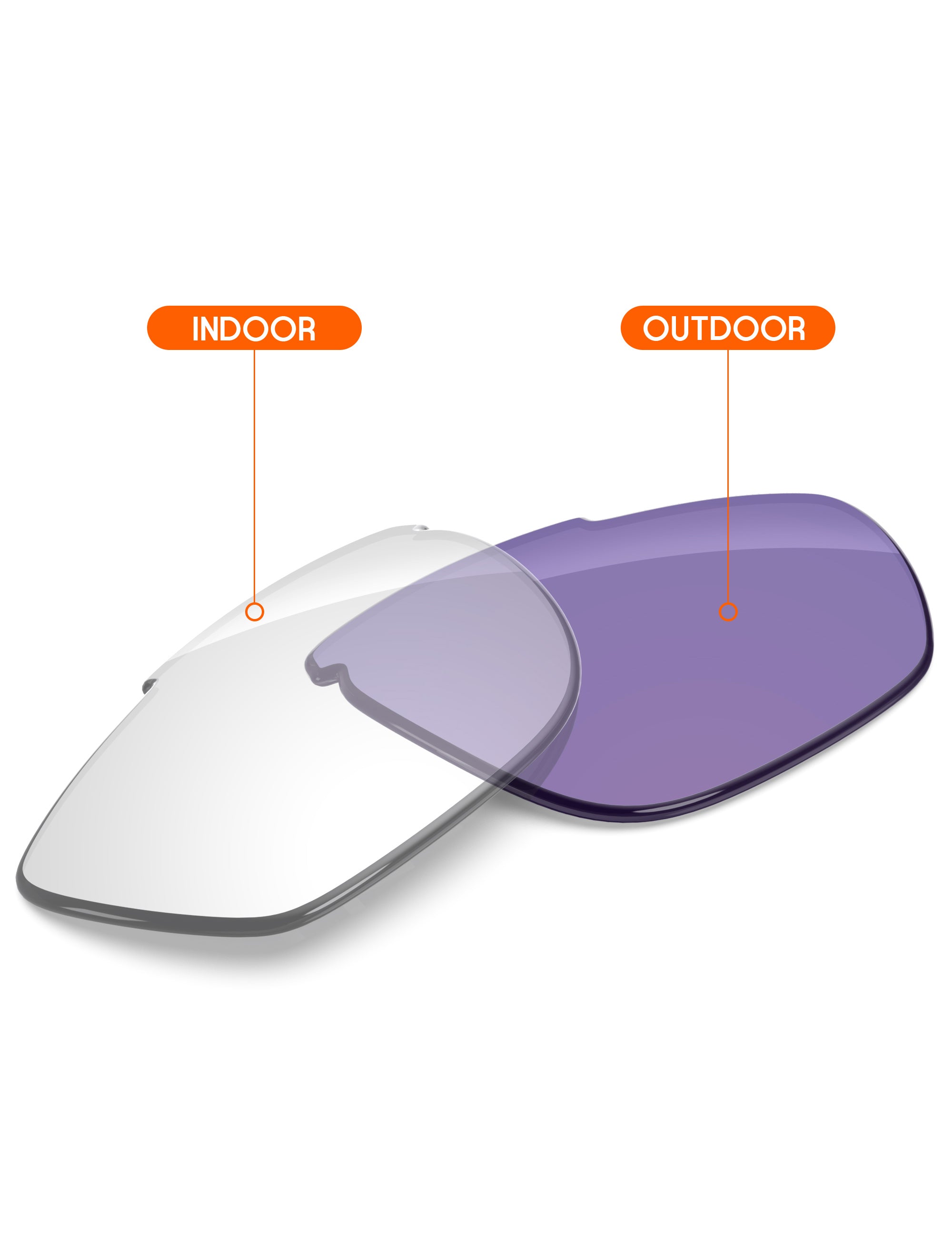 Adapt Purple Photochromic-Non-Polarized