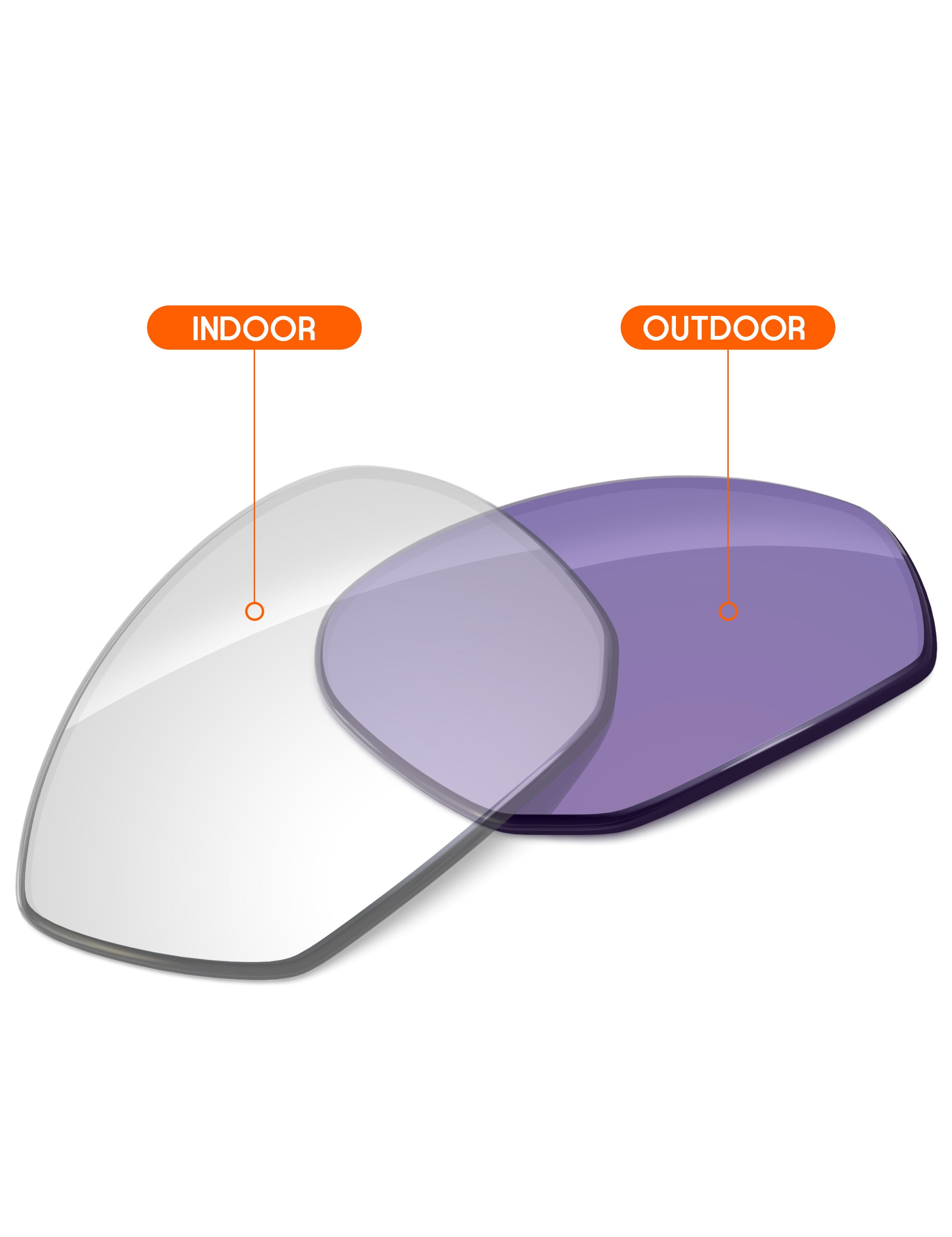 Adapt Purple Photochromic-Non-Polarized