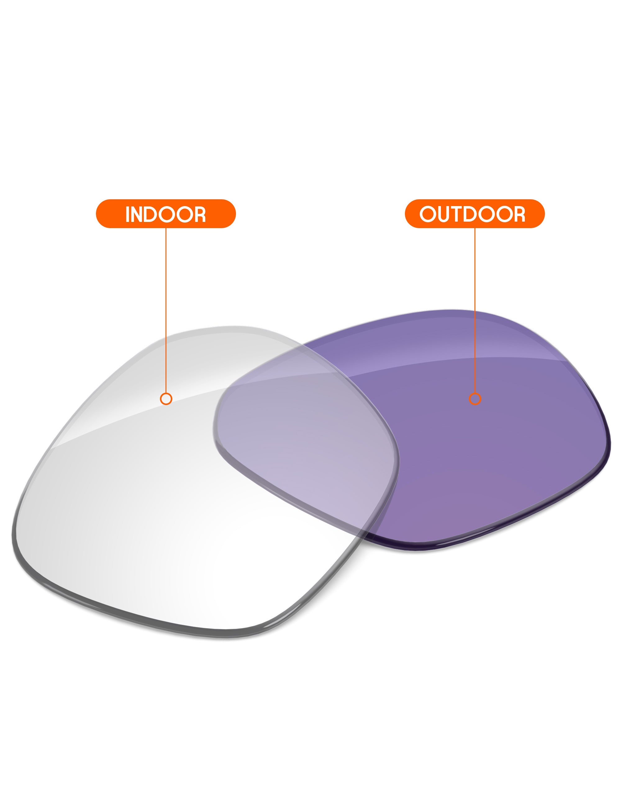 Adapt Purple Photochromic-Non-Polarized