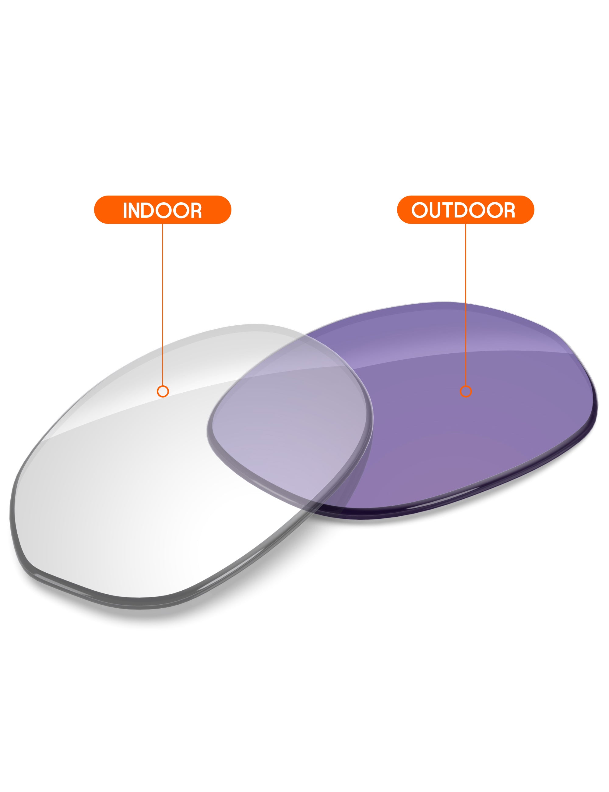 Adapt Purple Photochromic-Non-Polarized