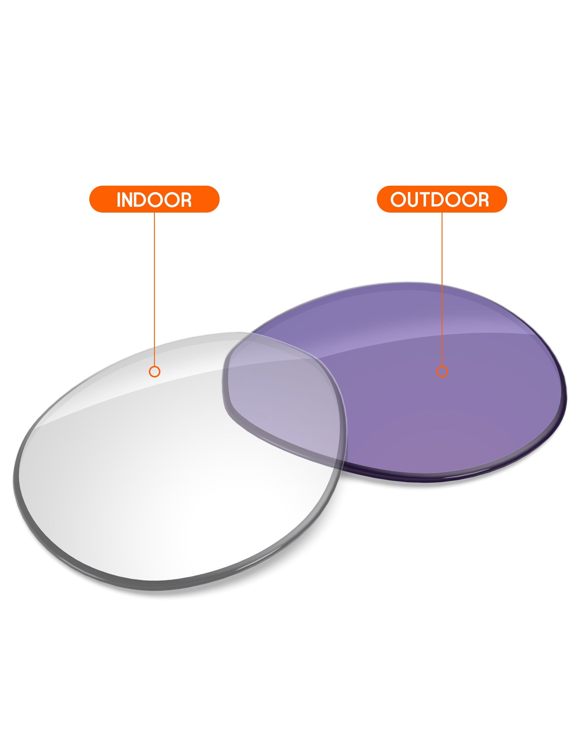 Adapt Purple Photochromic-Non-Polarized
