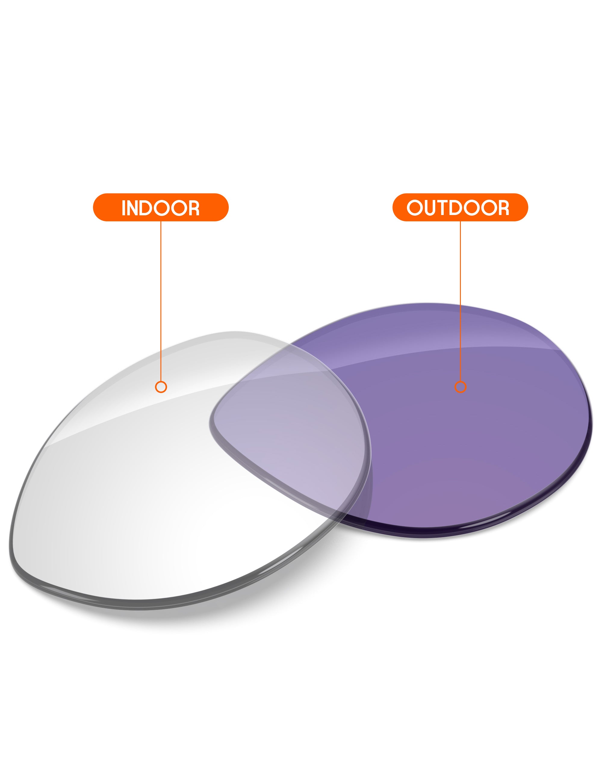 Adapt Purple Photochromic-Non-Polarized