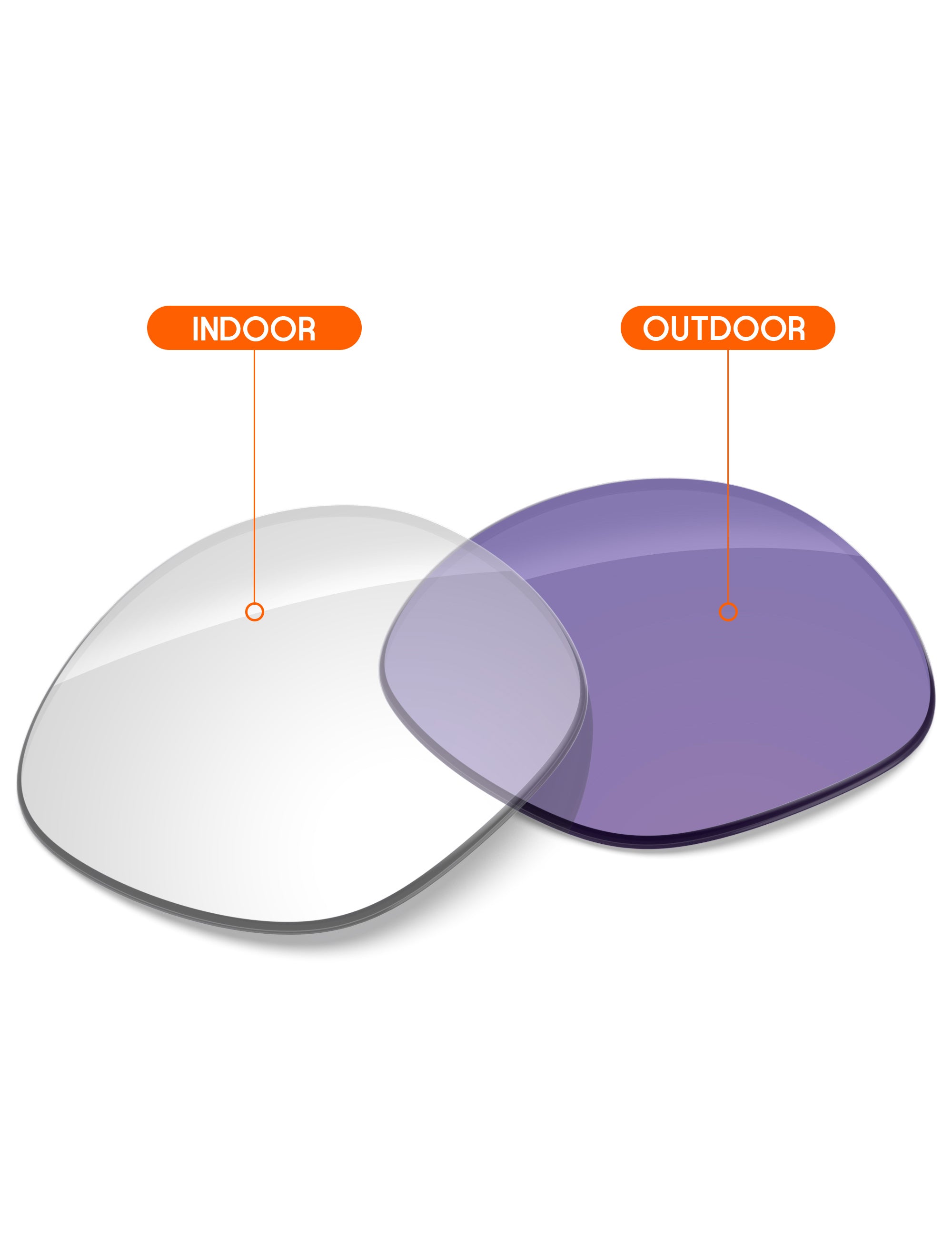 Adapt Purple Photochromic-Non-Polarized