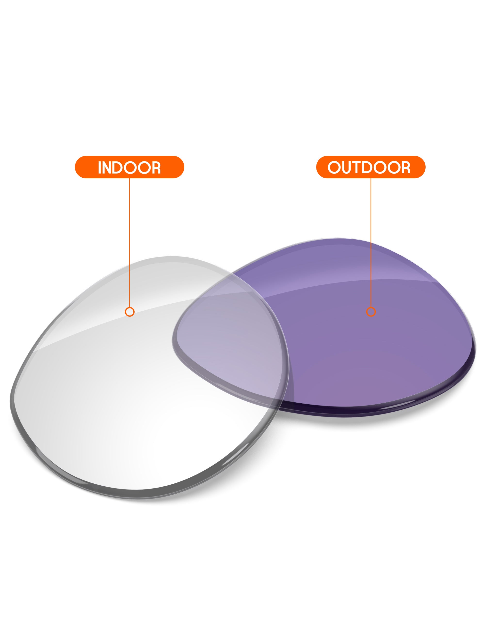 Adapt Purple Photochromic-Non-Polarized