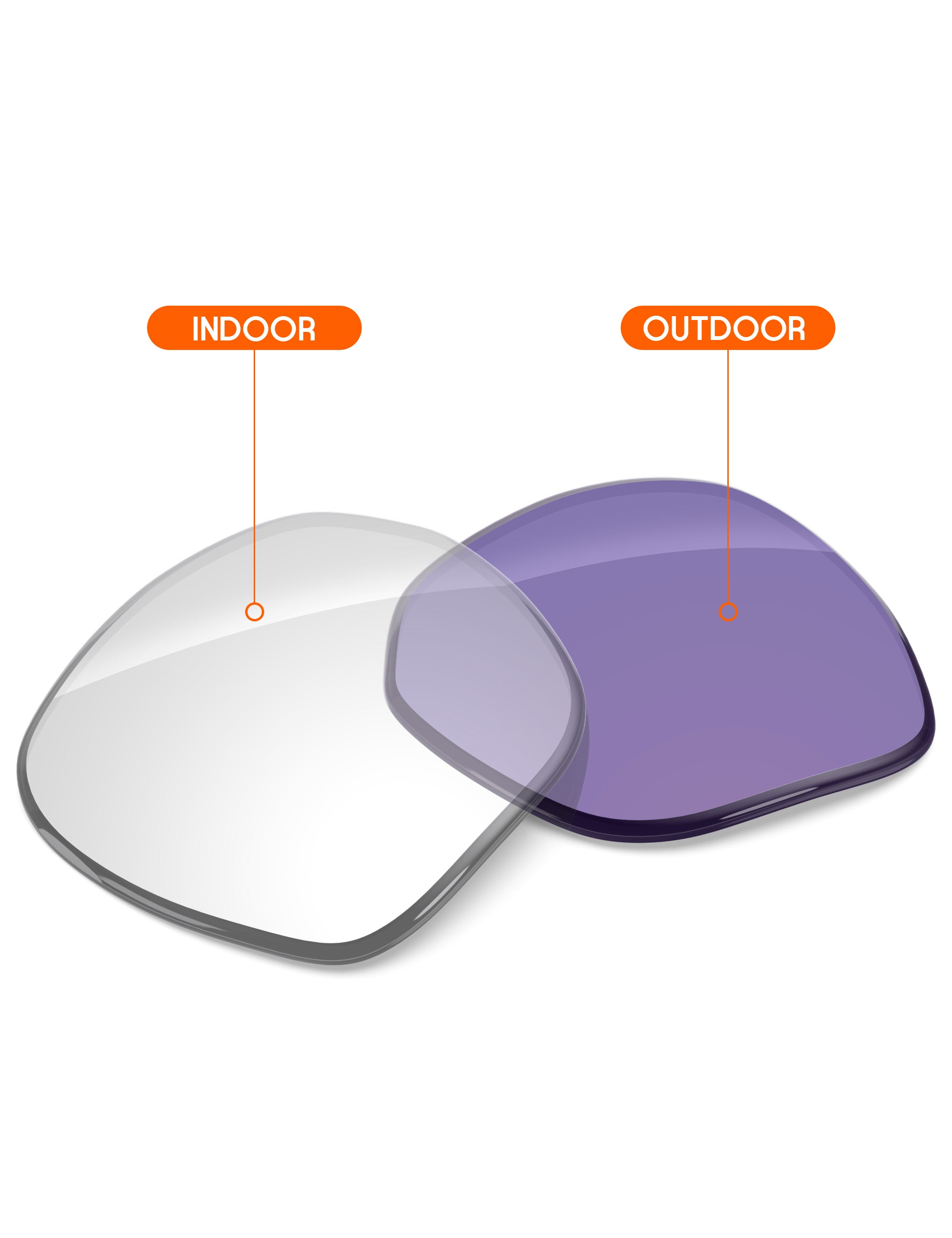 Adapt Purple Photochromic-Non-Polarized