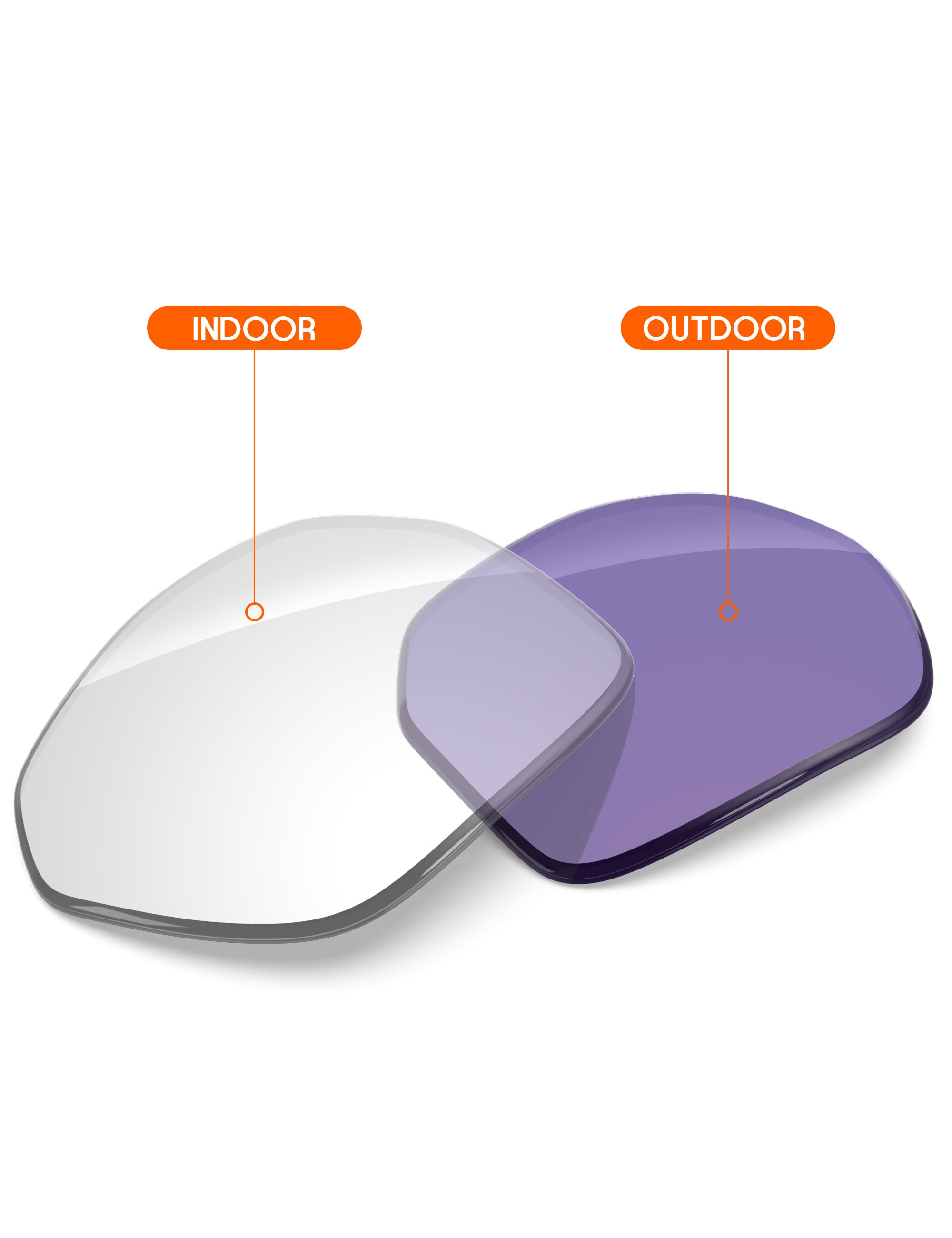 Adapt Purple Photochromic-Non-Polarized