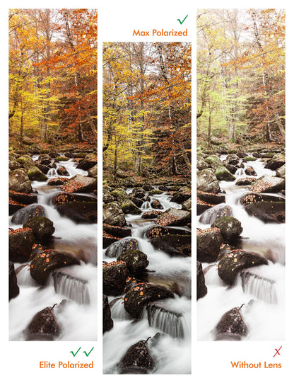 Polarized