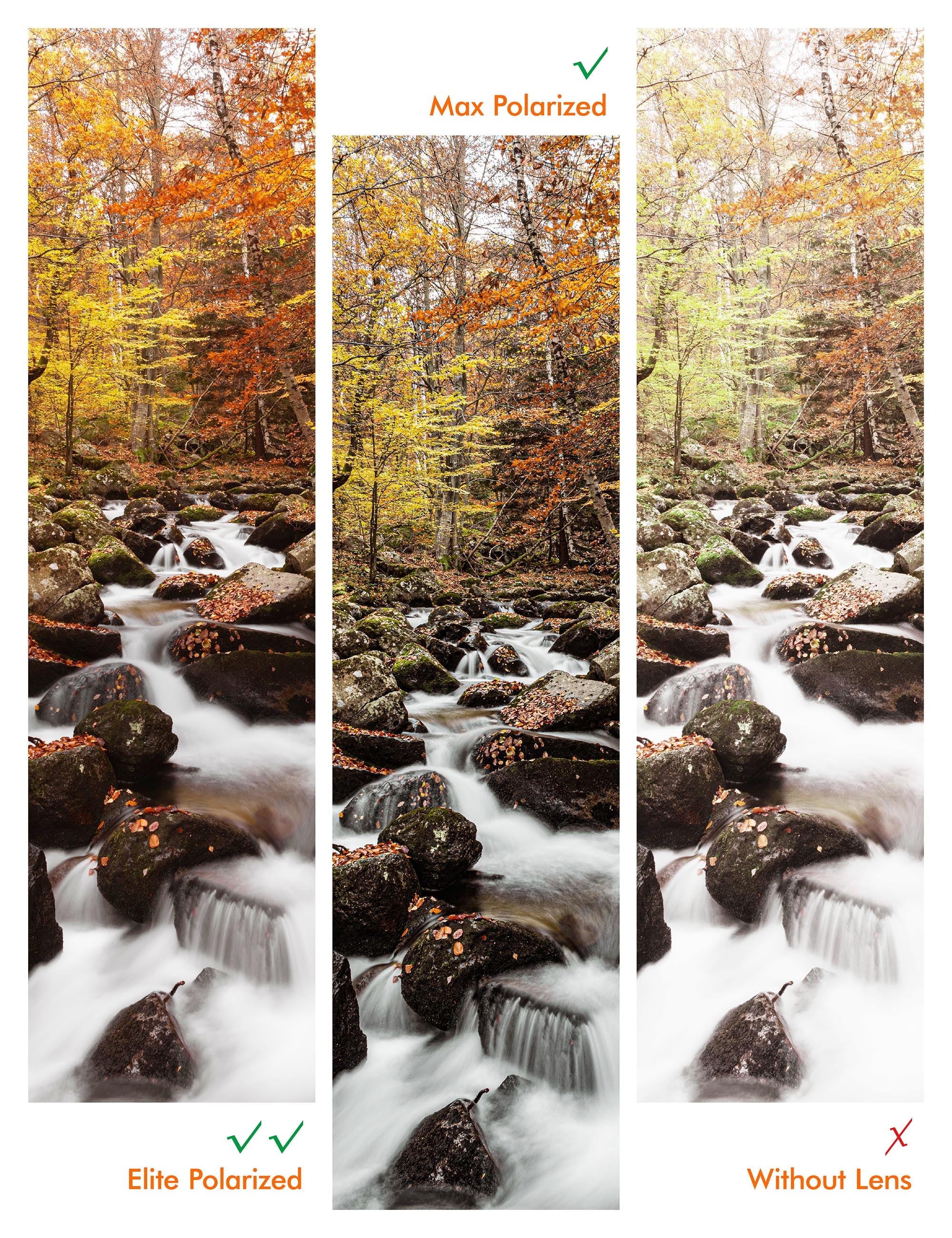Polarized