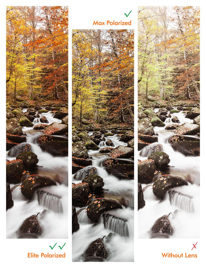 Polarized