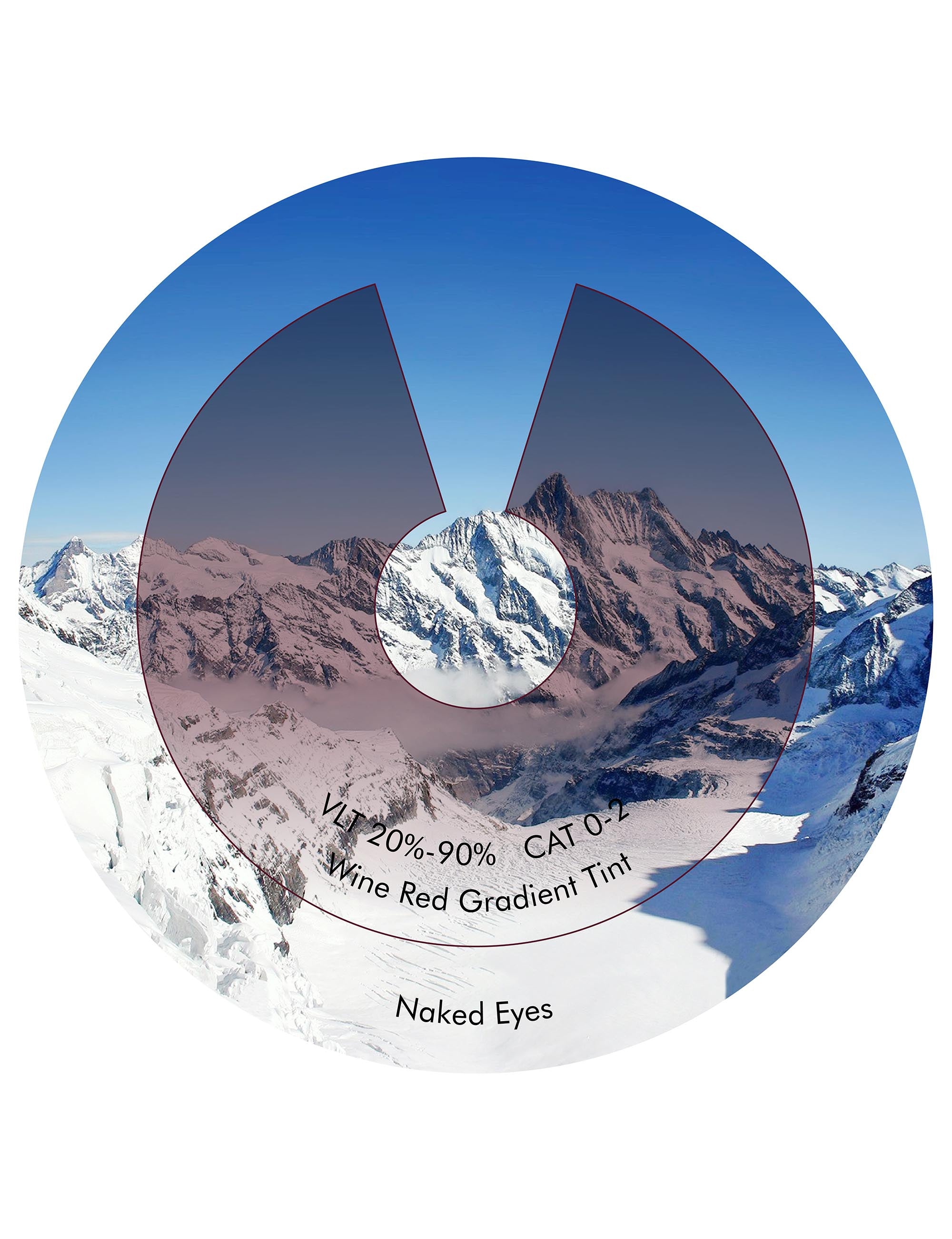 Wine Red Gradient-Non-Polarized